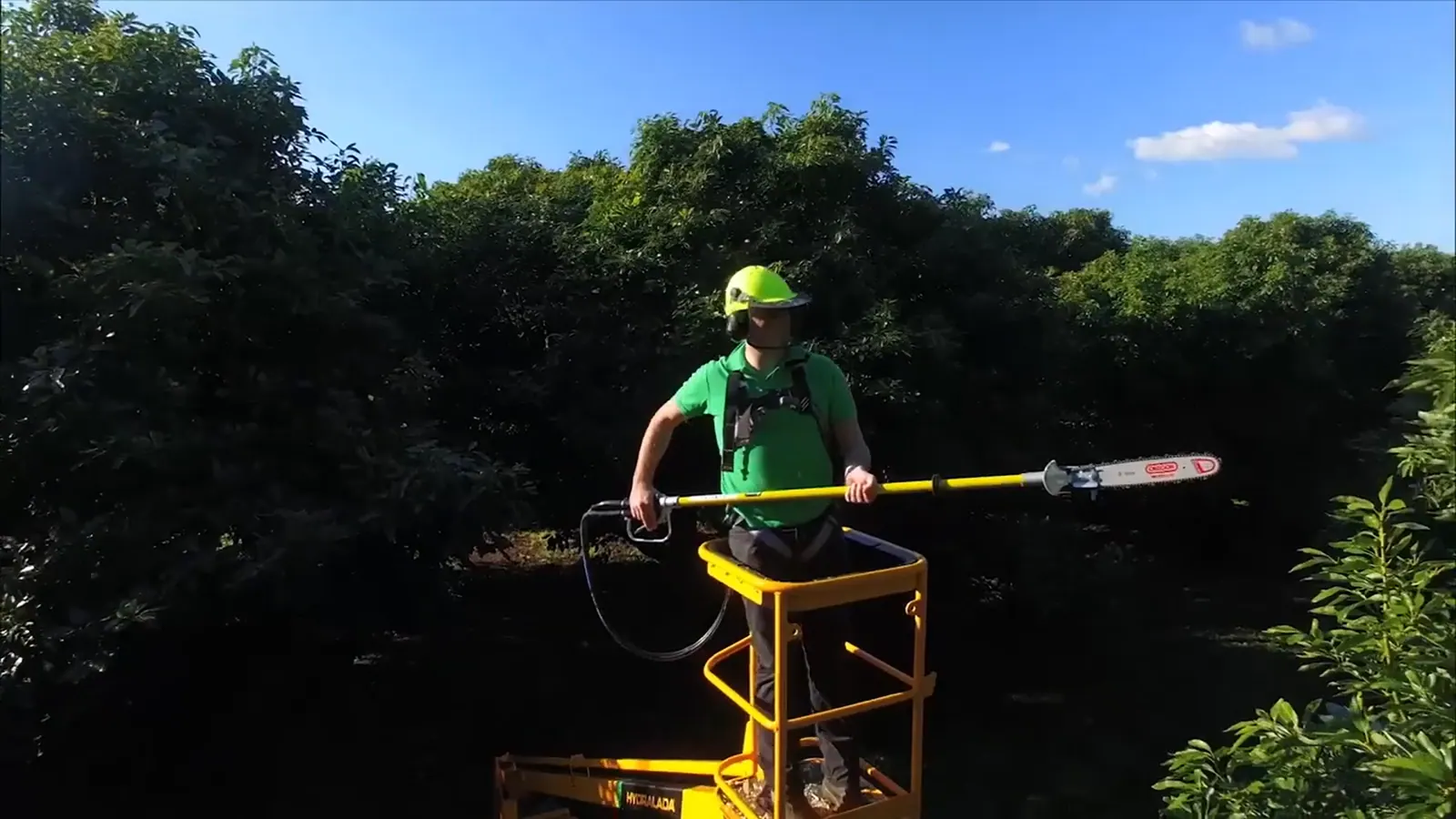 Trabalhador de capacete podando uma árvore, de pé em uma plataforma