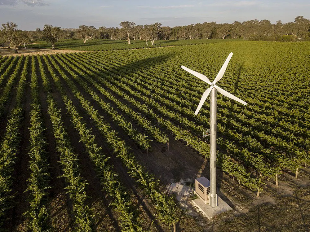 Vista aérea de um ventilador anti-geada fixo entre as fileiras de um vinhedo