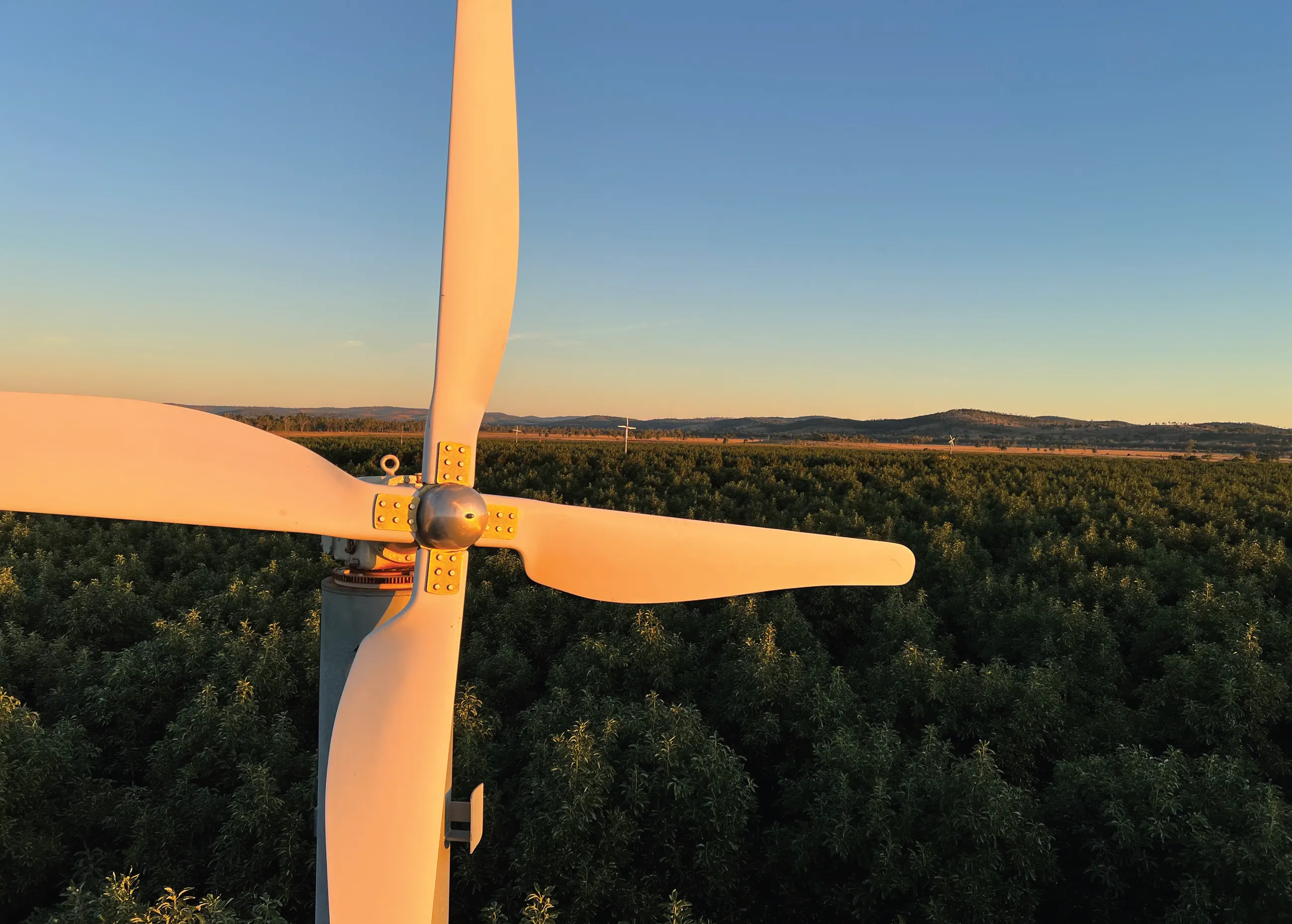 Pás de um ventilador anti-geada ao pôr do sol, sobre um pomar